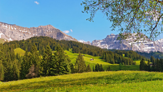 Grassy field mountains trees houses free wallpaper for desktop - medium preview image