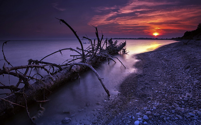 Fallen tree lake sunset mystical free wallpaper for desktop - medium preview image