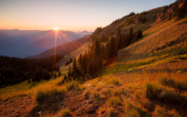 Sunset mountain grassy trees horizon free wallpaper for desktop - medium preview image
