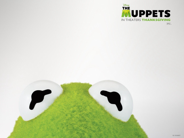 Green frog big eyes white free wallpaper for desktop - medium preview image