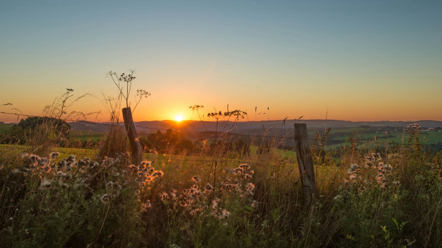 Sunset field fence wildflowers horizon free wallpaper for desktop - medium preview image