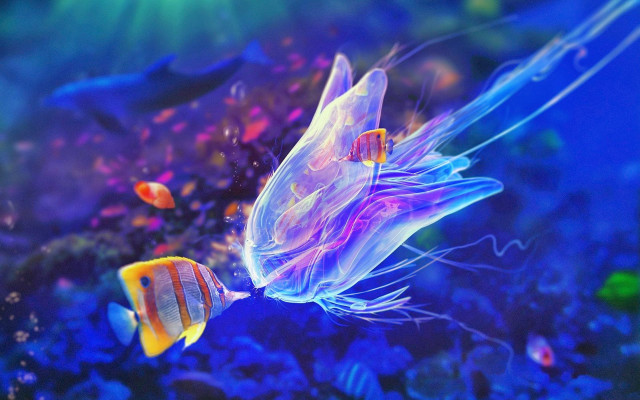 Fish jellyfish aquarium blue water free wallpaper for desktop - medium preview image