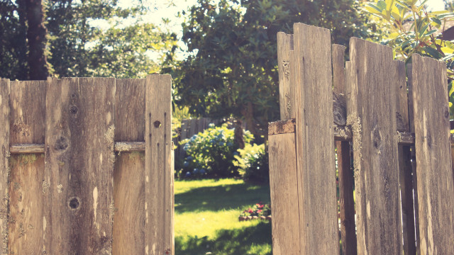 Wooden gate bird tree city free wallpaper for desktop - medium preview image