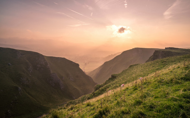 Grassy hill sheep mountains valley free wallpaper for desktop - medium preview image