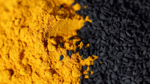 Black yellow seeds autumn blurry free wallpaper for desktop - medium preview image