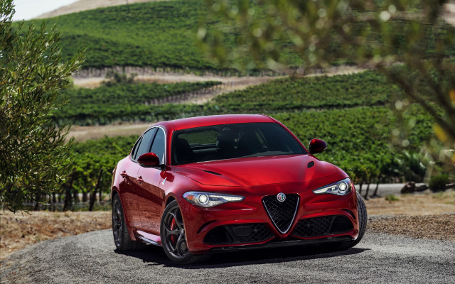 Red alfa car road green free wallpaper for desktop - medium preview image