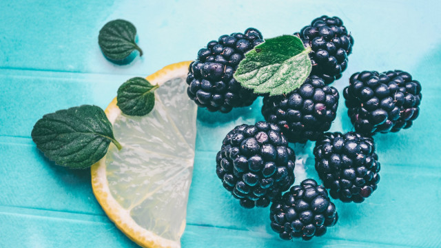 Lemon blackberries blue surface leaves free wallpaper for desktop - medium preview image