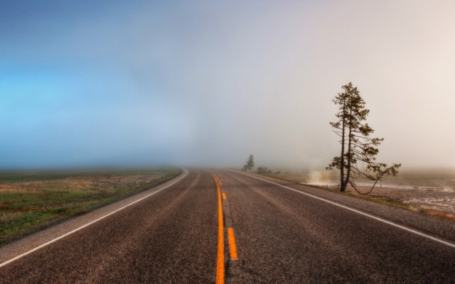 Long road single tree fog free wallpaper for desktop - medium preview image