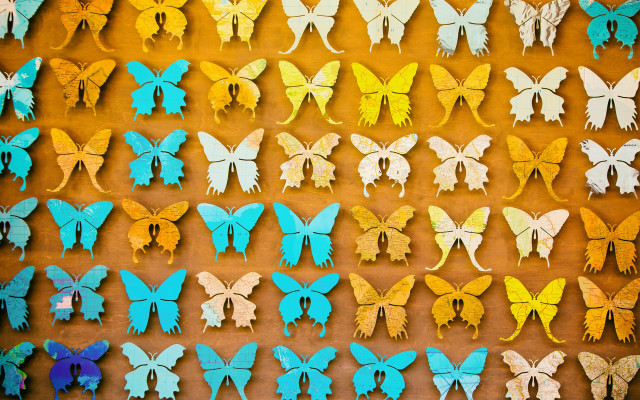 Colorful butterflies ecological art jigsaw free wallpaper for desktop - medium preview image
