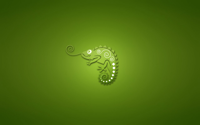 Green lizard swirly tail wall free wallpaper for desktop - medium preview image