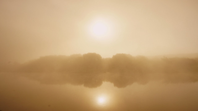 Foggy lake boat trees moon free wallpaper for desktop - medium preview image