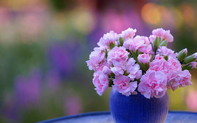 Blue vase pink flowers garden free wallpaper for desktop - medium preview image