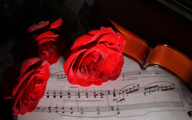 Violin roses sheetmusic romantic stilllife free wallpaper for desktop - medium preview image