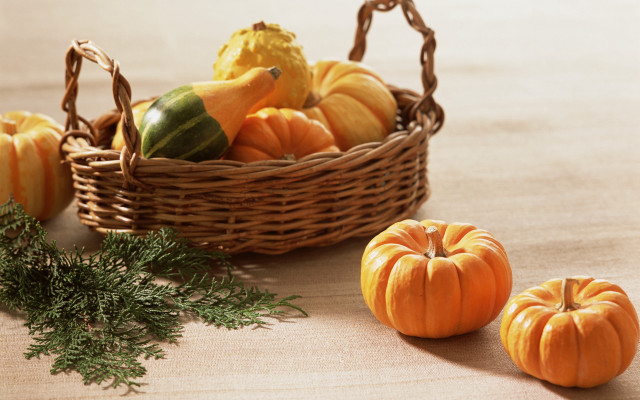 Pumpkins gourds harvest fall folk free wallpaper for desktop - medium preview image