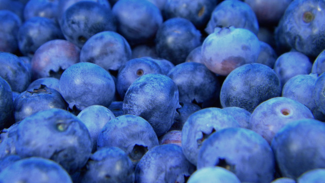 Blueberries blurry macro synthetism blue free wallpaper for desktop - medium preview image