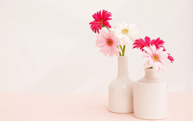 Three white vases pink flowers free wallpaper for desktop - medium preview image