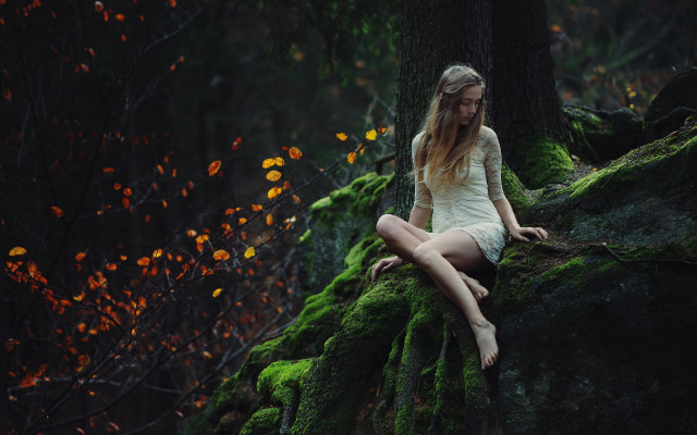 Woman mossy rock woods autumn free wallpaper for desktop - medium preview image