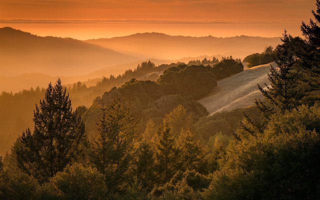 Mountain range fog sunset trees free wallpaper for desktop - medium preview image
