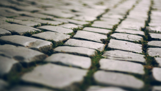 Stone pavement grass tilt shift free wallpaper for desktop - medium preview image