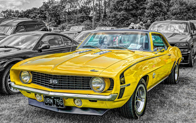 Yellow car parking lot black free wallpaper for desktop - medium preview image