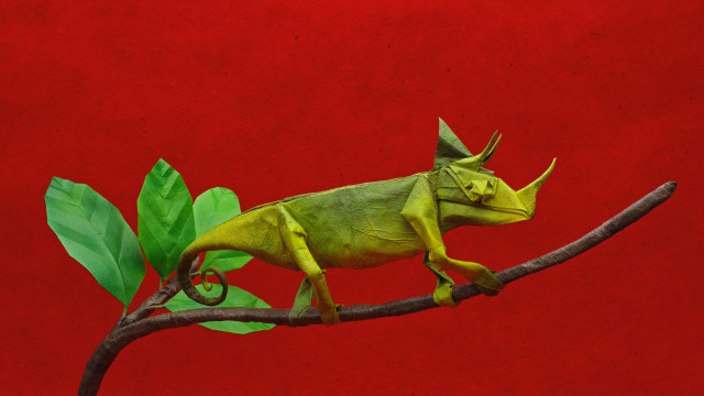 Green chameleon branch leaves red #2 free wallpaper for desktop - medium preview image