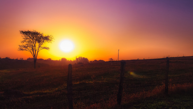 Sunset field fence trees cityscape free wallpaper for desktop - medium preview image