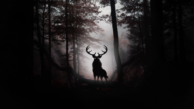 Deer forest fog gothic matte free wallpaper for desktop - medium preview image