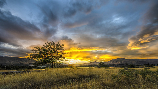 Sunset mountains tree field clouds free wallpaper for desktop - medium preview image