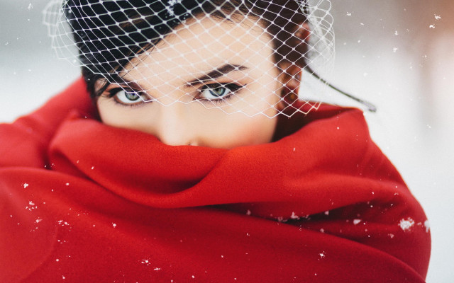 Snowy veil brown eyes fence free wallpaper for desktop - medium preview image