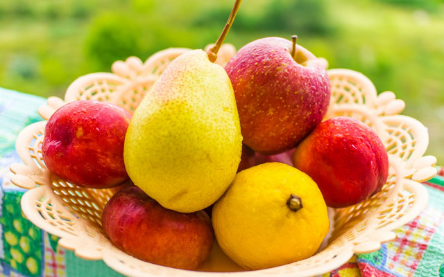 Bowl of fruit outdoor green free wallpaper for desktop - medium preview image