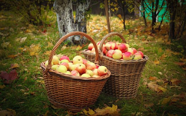 Baskets apples autumn folk art free wallpaper for desktop - medium preview image