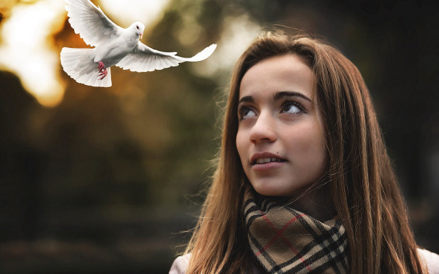Woman bird scarf portrait dove free wallpaper for desktop - medium preview image