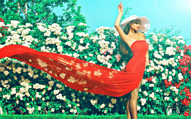 Red dress hat dancing bush free wallpaper for desktop - medium preview image