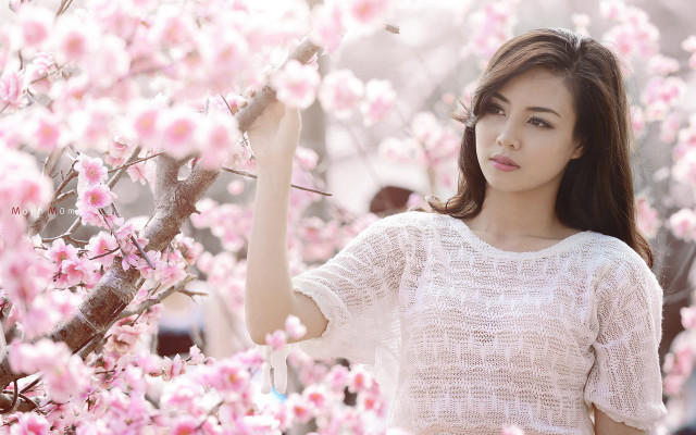 Woman pink flower tree portrait free wallpaper for desktop - medium preview image