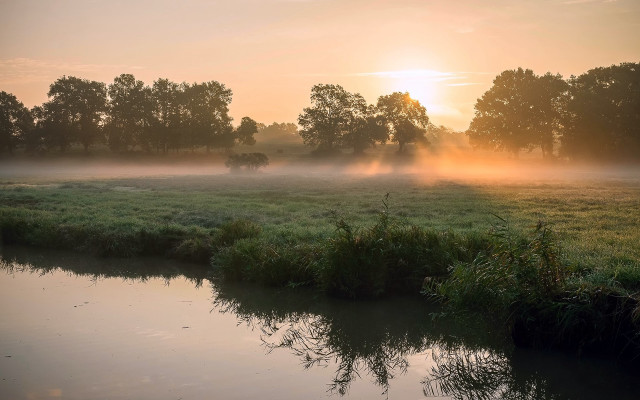 Foggy river forest sunset landscape free wallpaper for desktop - medium preview image