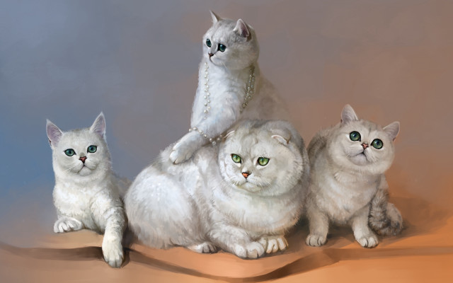 Three cats stacked tabletop calico free wallpaper for desktop - medium preview image