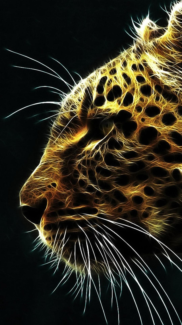 Cheetah close up black background free wallpaper for mobile - medium preview image