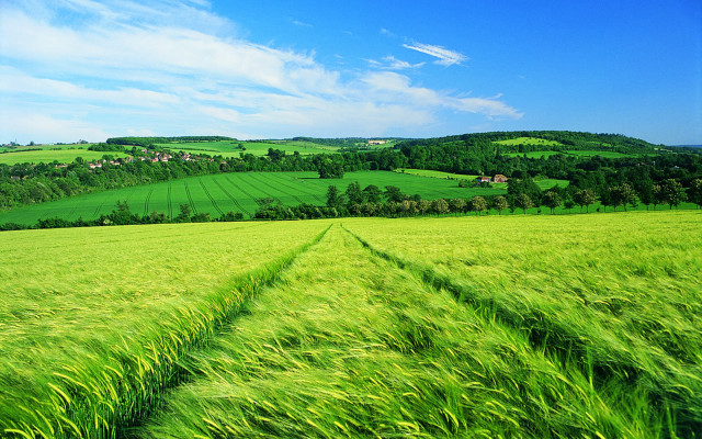 Field green grass road hill free wallpaper for desktop - medium preview image
