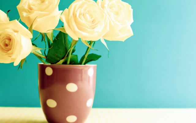 Polka dot vase white roses free wallpaper for desktop - medium preview image