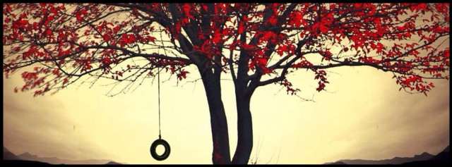 Tree tire hanging sky clouds free wallpaper for desktop - medium preview image