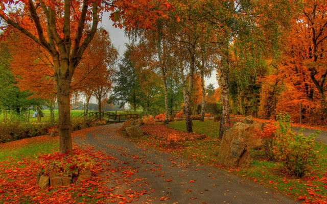 Autumn leaves bench park fence free wallpaper for desktop - medium preview image