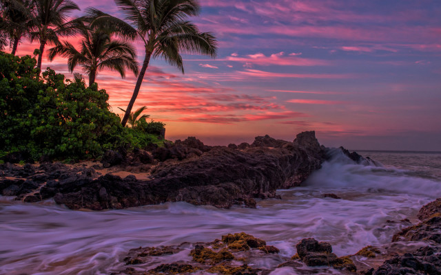 Sunset rocky beach palm waves free wallpaper for desktop - medium preview image