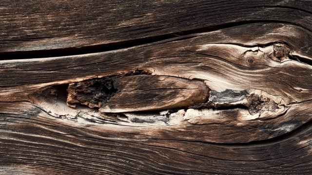Peeling wood decay abstract beach free wallpaper for desktop - medium preview image