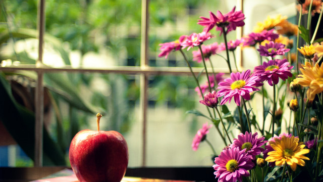 Vase flowers apple table window free wallpaper for desktop - medium preview image