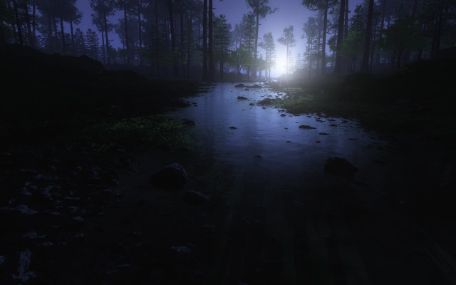 Dark forest stream night foggy free wallpaper for desktop - medium preview image