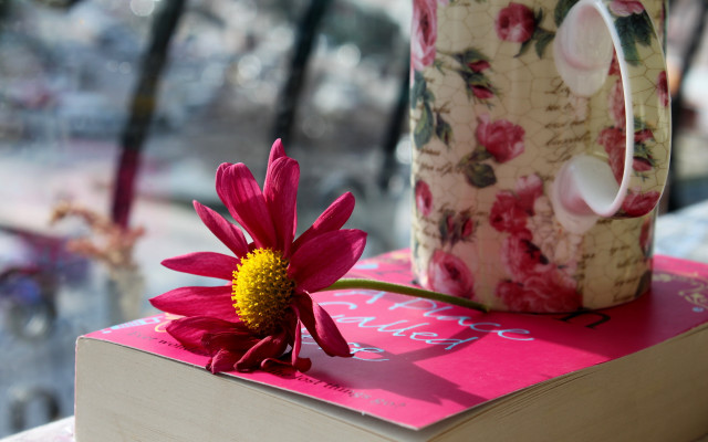 Pink book flower coffee mug free wallpaper for desktop - medium preview image