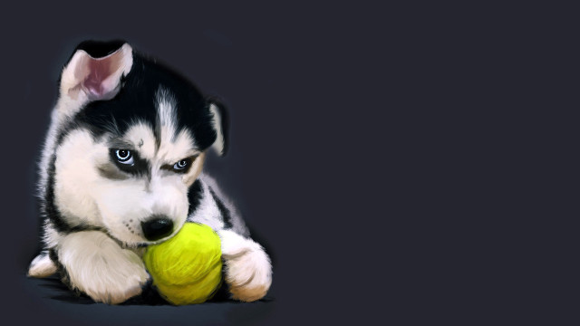 Puppy tennisball sad blueeyes digitalpainting free wallpaper for desktop - medium preview image