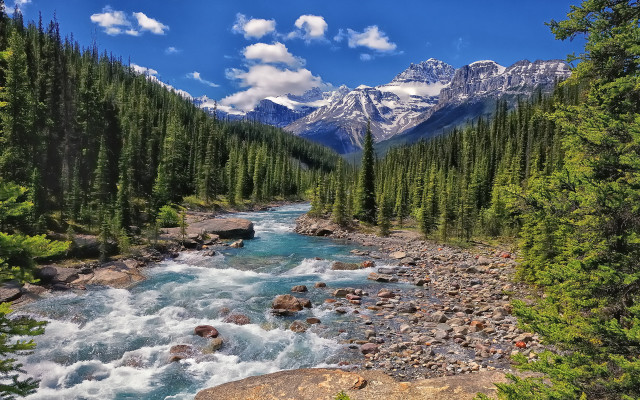 River forest rocks trees mountain free wallpaper for desktop - medium preview image