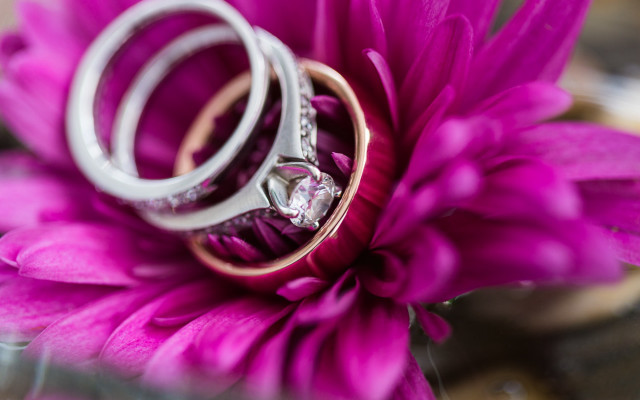 Wedding rings flower diamond macro free wallpaper for desktop - medium preview image
