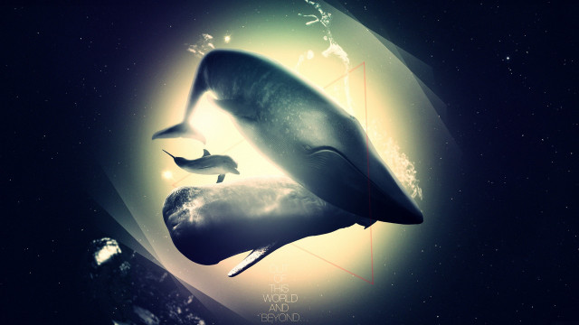 Whale ocean moon planet space free wallpaper for desktop - medium preview image